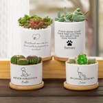 Personalised Pet Paw Name Ceramic Succulent Planter Pot with Drainage Hole and Bamboo Base Home Decor Pet Loss Sympathy Gift for Cat Dog Owner Lover