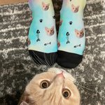 Chaussettes personnalisées en forme d'arête de poisson avec visage de chat multicolore et nom Cadeau d'anniversaire pour les propriétaires d'animaux de compagnie.
