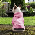 Personalizada Mejor Amigo Fist Bump Perro y Dueño Sudadera con capucha a juego con los nombres Multicolor Disponible Regalo de cumpleaños para los amantes de las mascotas