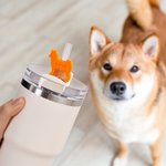 Personalized Multicolour 3D Printed Cat Dog Shape Straw Topper with Name Accessories for Stanley Tumbler Birthday Party Gift for Pet Lovers