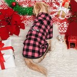 Felpa con cappuccio a quadri personalizzata per cuccioli con nome ricamato regalo per cani e amanti degli animali