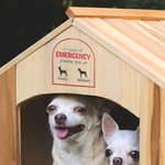 Personalized In Case of Emergency Pet Inside Rescue Waterproof Vinyl Sticker with 1-6 Pet Silhouettes and Names Housewarming Gift for Pet Owners