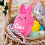 Personalised Cute Bunny Plush Coin Handbag Wallet with Name and Wrist Strap Easter Basket Filler Happy Easter Gift for Kids