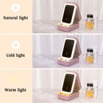Personalisierte Sternzeichen Geburt Blume Cartoon Charakter PU Leder Schmuckkästchen mit Namen und LED Make-up-Spiegel Geburtstag Muttertag Geschenk für Frauen