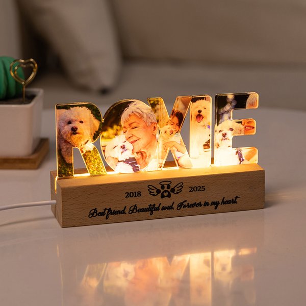 Personalizzato 3-7 cane gatto foto nome LED Luce notturna con base in legno Home Decor Memorial Simpatia Ricordo regalo per il proprietario dell'animale domestico