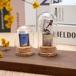 Gepersonaliseerde 1-3 Mini boek Display glazen koepel Cloche met kurk Base Desk Boekenplank Decor Verjaardag Book Club Gift voor boekenliefhebbers lezers