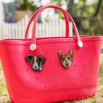 Ritratto personalizzato dell'animale domestico Foto Accessorio in acrilico per il regalo di compleanno in memoria di Bogg per chi ama gli animali domestici
