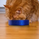 Personalisierte moderne 3D gedruckt Name Haustier Schüssel Wasser Schüssel rutschfest Haustier Fütterung liefert Geburtstag Geschenk für Tierliebhaber