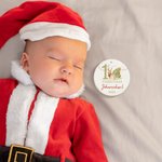 Personalised Cute Reindeer Baby's 1st Christmas Ceramic Ornament with Name and Year Holiday Tree Decor Baby Shower Christmas Gift for Newborns