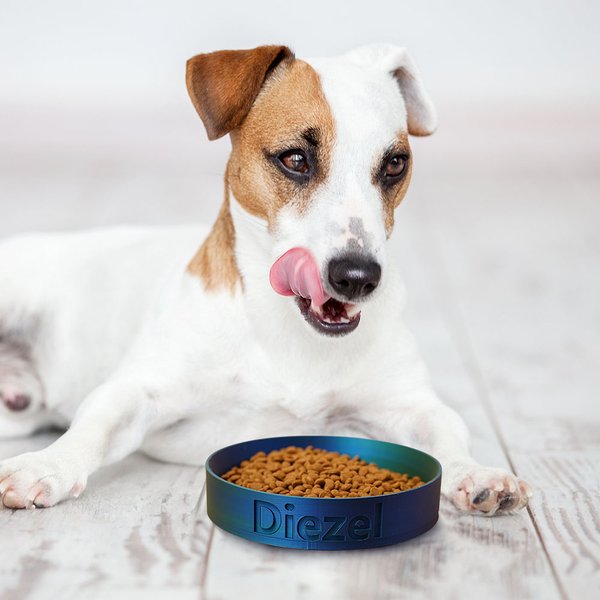 Personalized Modern 3D Printed Name Pet Bowl Water Dish Non-slip Pet Feeding Supplies Birthday Gift for Pet Lovers