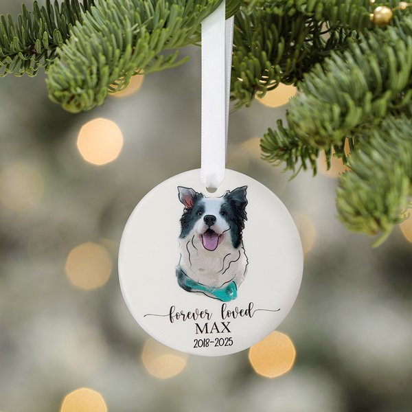 Personalized Forever Loved Dog Cat Photo Portrait Drawing Ornament with Name Christmas Tree Decor Memorial Sympathy Gift for Pet Owners