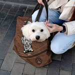 Sac Fourre-Tout Vintage Personnalisé avec 1-5 Chiens Chats et Noms Sac à Fermeture Éclair Cadeau de Noël Anniversaire pour Amoureux d'Animaux