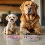 Personalized Multicolor Name Anti-slip Dog Slow Feeder Bowl Pet Feeding Supplies Birthday Gift for Pet Owners