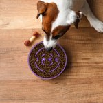 Personalized Multicolor Name Anti-slip Dog Slow Feeder Bowl Pet Feeding Supplies Birthday Gift for Pet Owners