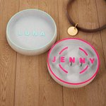 Personalized Multicolor Name Anti-slip Dog Slow Feeder Bowl Pet Feeding Supplies Birthday Gift for Pet Owners