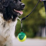 Personalised 3D Printing Lightweight Dog Toy Tennis Ball Holder with Keychain and Name Birthday Pet Backpack Accessories Gift for Dog Lovers