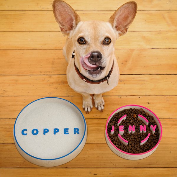 Personalized Multicolor Name Anti-slip Dog Slow Feeder Bowl Pet Feeding Supplies Birthday Gift for Pet Owners