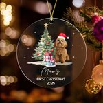 Personalised Oil Painting Santa Hat Dog Cat Photo Clear Acrylic Ornament with Name and Year First Christmas Home Decor Pet Party Gift for Pet Owners