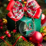Personalised Oil Painting Santa Hat Dog Cat Photo Clear Acrylic Ornament with Name and Year First Christmas Home Decor Pet Party Gift for Pet Owners