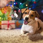Personalised Oil Painting Santa Hat Dog Cat Photo Clear Acrylic Ornament with Name and Year First Christmas Home Decor Pet Party Gift for Pet Owners