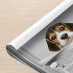 Personalizada Lectura Periódico Perro Gato Foto Lienzo Póster Enmarcado Pintura sin marco Decoración de Pared Cumpleaños Memorial Regalo para los dueños de mascotas