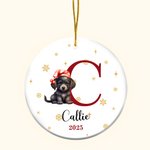 Ornement de Noël personnalisé en céramique avec initiales multicolores et nom Cadeau de Noël pour les enfants et la famille