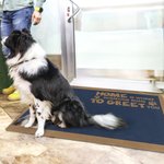 Personalized Cute 3D Cartoon 1-6 Pets Anti-Slip Welcome Door Mat with Names Fun Home Decor Birthday Housewarming Gift for Family Pet Lovers