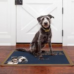 Personalized Cute 3D Cartoon 1-6 Pets Anti-Slip Welcome Door Mat with Names Fun Home Decor Birthday Housewarming Gift for Family Pet Lovers