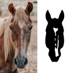 Personalized Multicolour Horse Silhouette Birthmark Photo Weatherproof Decal Sticker Birthday Car Window Laptop Decor Gift for Horse Lover Car Owner
