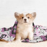 Personalized Paw Print Heart Bone Ball Multicolor Initial Plaid Soft Dog Cat Pet Blanket with Name Home Decor Birthday Gift for Pet Owners