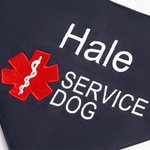 Personalized Star of Life Adjustable Buttons ESA Emotional Support Dog Cat Bandana with Embroidered Name Identification Birthday Gift for Pet Lover