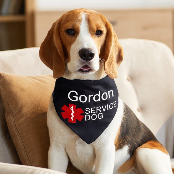 Personalized Star of Life Adjustable Buttons ESA Emotional Support Dog Cat Bandana with Embroidered Name Identification Birthday Gift for Pet Lover