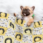 Personalized Paw Print Heart Bone Ball Multicolor Initial Plaid Soft Dog Cat Pet Blanket with Name Home Decor Birthday Gift for Pet Owners