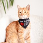 Personalized Star of Life Adjustable Buttons ESA Emotional Support Dog Cat Bandana with Embroidered Name Identification Birthday Gift for Pet Lover