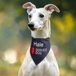 Personalized Star of Life Adjustable Buttons ESA Emotional Support Dog Cat Bandana with Embroidered Name Identification Birthday Gift for Pet Lover