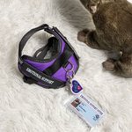 Personalisierter Emotionaler Unterstützungs-Plüsch-Otter mit Namen Begleiter und Geburtstagsgeschenk für Familie Freunde