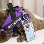 Personalisierter Emotionaler Unterstützungs-Plüsch-Otter mit Namen Begleiter und Geburtstagsgeschenk für Familie Freunde