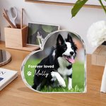 Henkilökohtainen Sydän Photo Akryyli Plaque nimi Pet Loss Memorial Sympathy lahja lemmikkieläinten ystävälle