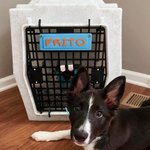 Personalized 3D Printed Multicolor Dog Kennel Tag Name Sign Pet Accessories Dog Room Decor for Dog Lovers