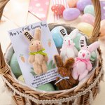 Gepersonaliseerd schattig klein pluche zak knuffelkonijntje knuffel speelgoed met naamkaartje paasmand vullers vakantie Pasen verjaardagscadeau voor kinderen