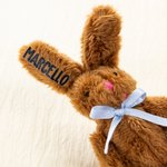 Gepersonaliseerd schattig klein pluche zak knuffelkonijntje knuffel speelgoed met naamkaartje paasmand vullers vakantie Pasen verjaardagscadeau voor kinderen