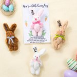 Gepersonaliseerd schattig klein pluche zak knuffelkonijntje knuffel speelgoed met naamkaartje paasmand vullers vakantie Pasen verjaardagscadeau voor kinderen