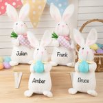Conejito de Pascua de peluche de pie personalizado con nombre Cesta de Pascua Rellenos de Pascua Vacaciones Cumpleaños Regalo para niños