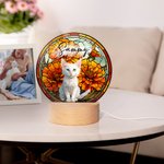 Ritratto personalizzato dell'animale domestico Fiore di nascita in vetro colorato Luce notturna a LED in acrilico con nome e base in legno Regalo di compleanno commemorativo per il proprietario dell'a