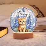 Ritratto personalizzato dell'animale domestico Fiore di nascita in vetro colorato Luce notturna a LED in acrilico con nome e base in legno Regalo di compleanno commemorativo per il proprietario dell'a
