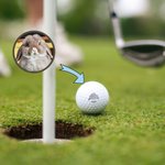 Personalized Dog Cat Pet Portrait Photo Golf Ball Self-inking Stamp with Metal Storage Box and Name Birthday Gift for Golf Players Pet Lovers
