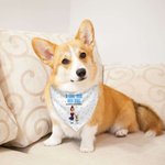 Personalized A Girl & Her Dogs Have Unbreakable Bond 3D Cartoon Design Soft Pet Bandana with Name Birthday Gift for Pet Lovers