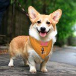 Personalized A Girl & Her Dogs Have Unbreakable Bond 3D Cartoon Design Soft Pet Bandana with Name Birthday Gift for Pet Lovers