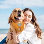 Personalized A Girl & Her Dogs Have Unbreakable Bond 3D Cartoon Design Soft Pet Bandana with Name Birthday Gift for Pet Lovers