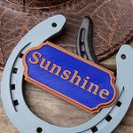 Personalisierte Multicolor Classic 3D Druck Hufeisen Form Stall Namensschild Schild Tür Scheune Bauernhof Zubehör Geschenk für Pferdeliebhaber Besitzer